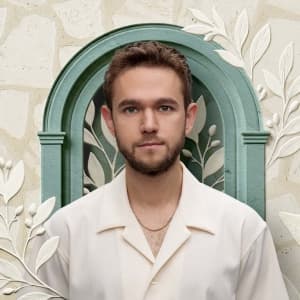 Zedd flyer